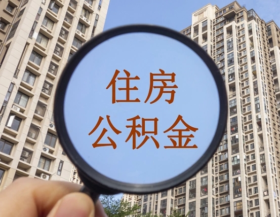 博罗退休后查不到公积金明细了吗（退休后公积金查询不到原因）